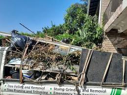 Best Shed Removal  in Silver Lake, FL